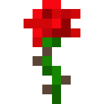 Classic Rose